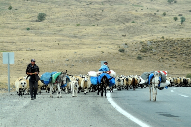 Göçerlerin Şanlıurfa'ya zorlu dönüş yolculuğu